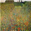 Poppy Field 1907 - Cuadrostock
