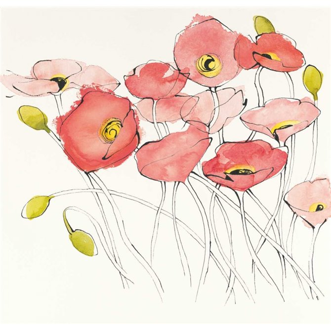 Black Line Poppies I Watercolor - Cuadrostock