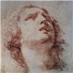 Study of a Head Looking Up - Cuadrostock