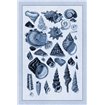 Shells: Trachelipoda 3 (Blue) - Cuadrostock