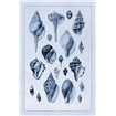 Shells: Sessile Cirripedes 3 (Blue) - Cuadrostock