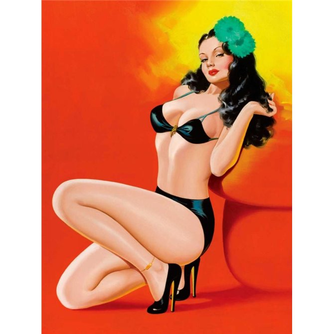 Mid-Century Pin-Ups - Beauty Magazine - Hot in Black - Cuadrostock