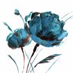 Blue Poppy Splash I - Cuadrostock