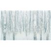 Birches in Winter Blue Gray - Cuadrostock