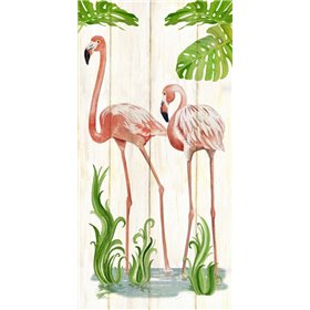 Flamingo Stroll 2 - Cuadrostock