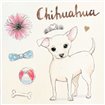 Chihuahua Escapades - Cuadrostock