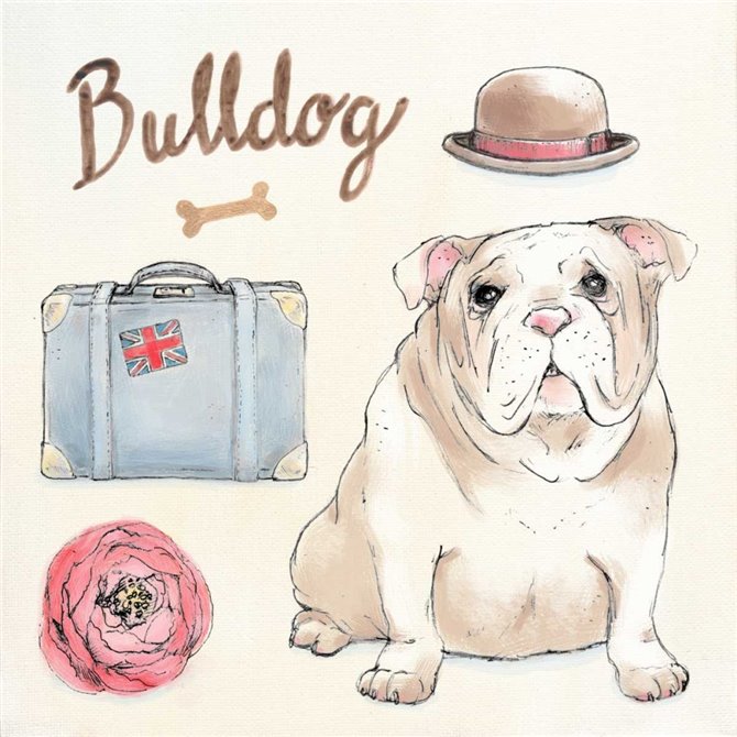 Bulldog Escapades - Cuadrostock