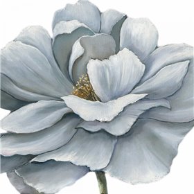 Blue Silken Bloom Withaar - Cuadrostock