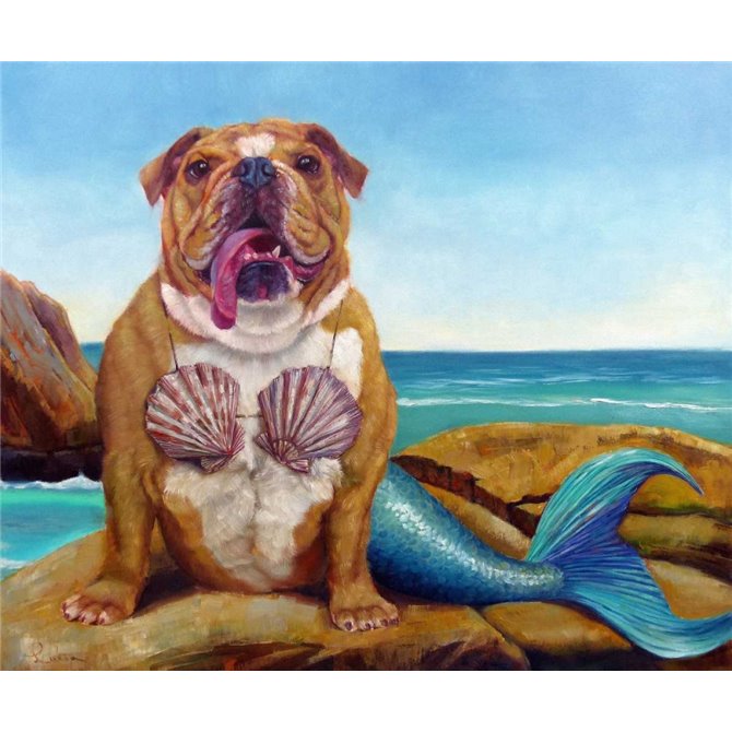 Mermaid Dog - Cuadrostock