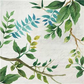 Lush Leaves - Cuadrostock