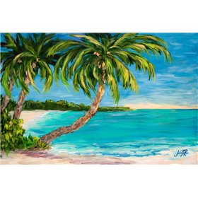 Palm Cove - Cuadrostock