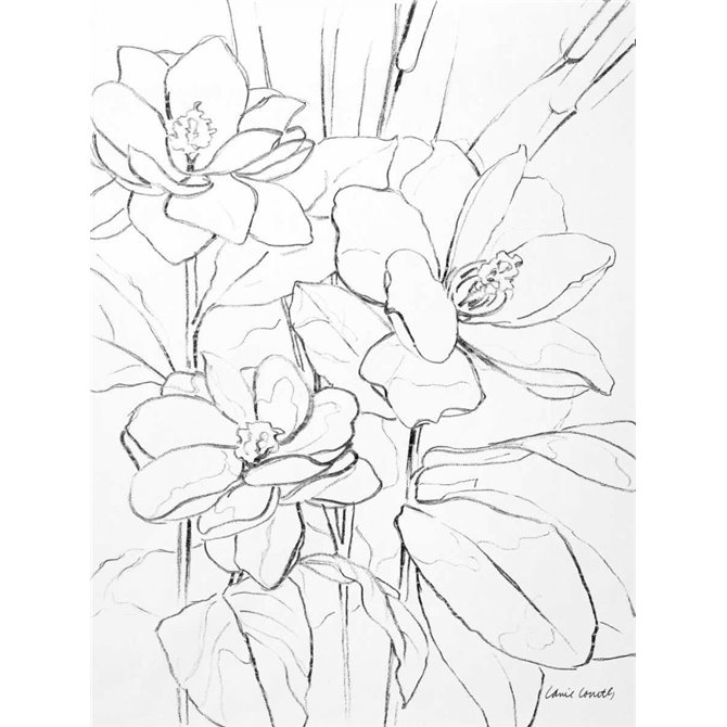 Cuadro para dormitorio - Floral Sketch I - Cuadrostock
