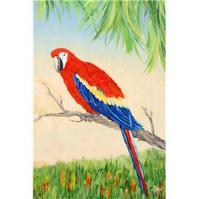 Tropic Bird in Paradise I - Cuadrostock
