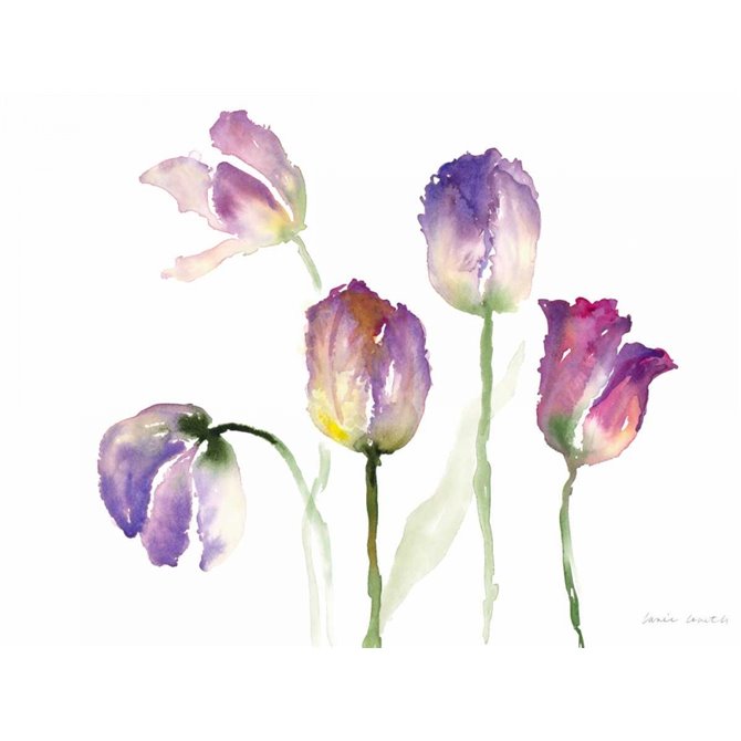 Lavender Hues Tulips II - Cuadrostock