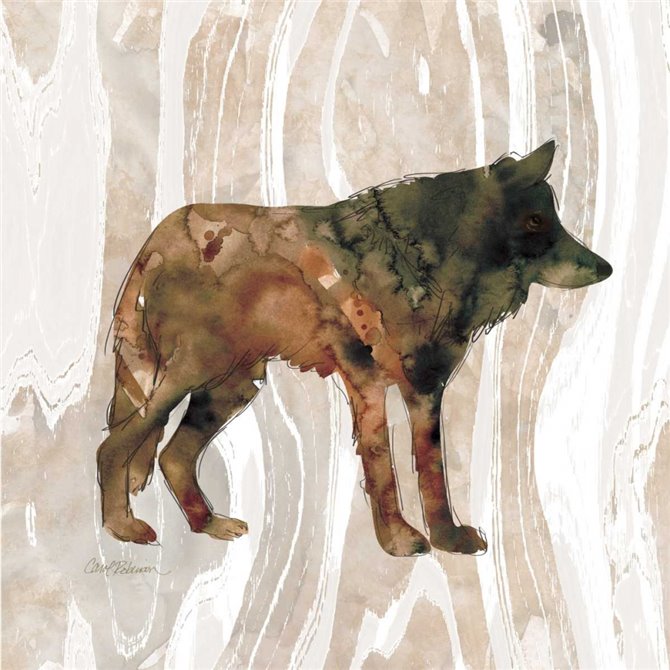 Pine Forest Wolf - Cuadrostock