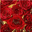 Roses - Red on Gold - Cuadrostock