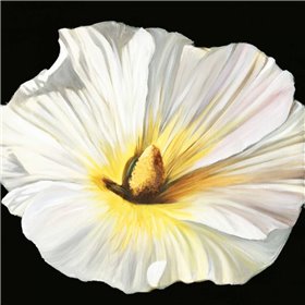 White Bloom II - Cuadrostock