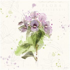 Floral Splash III - Cuadrostock