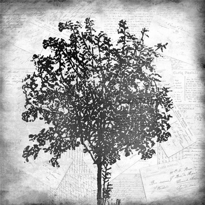 Tree Silhouette Black and White 2 - Cuadrostock