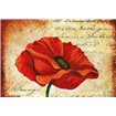 Poppy Script - Cuadrostock