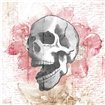 Floral Skull - Cuadrostock