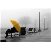 Sitting In The Rain - Cuadrostock