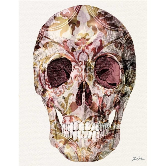 Skull And Rose Petals - Cuadrostock