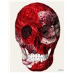 Skull With Roses - Cuadrostock