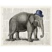 Elephant In A Bowler - Cuadrostock