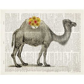 Flower Back Camel - Cuadrostock