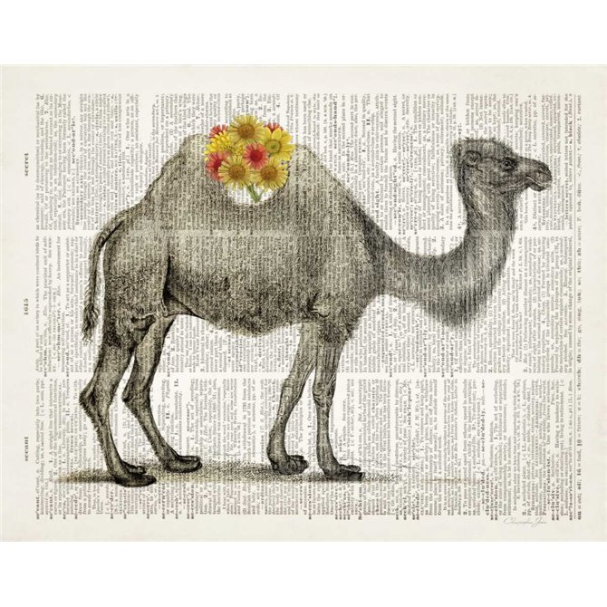 Flower Back Camel - Cuadrostock