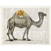 Flower Back Camel - Cuadrostock