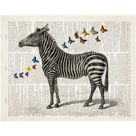Zebra and Butterflies - Cuadrostock