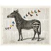 Zebra and Butterflies - Cuadrostock