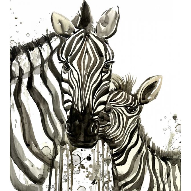 Zebra Cuddles - Cuadrostock