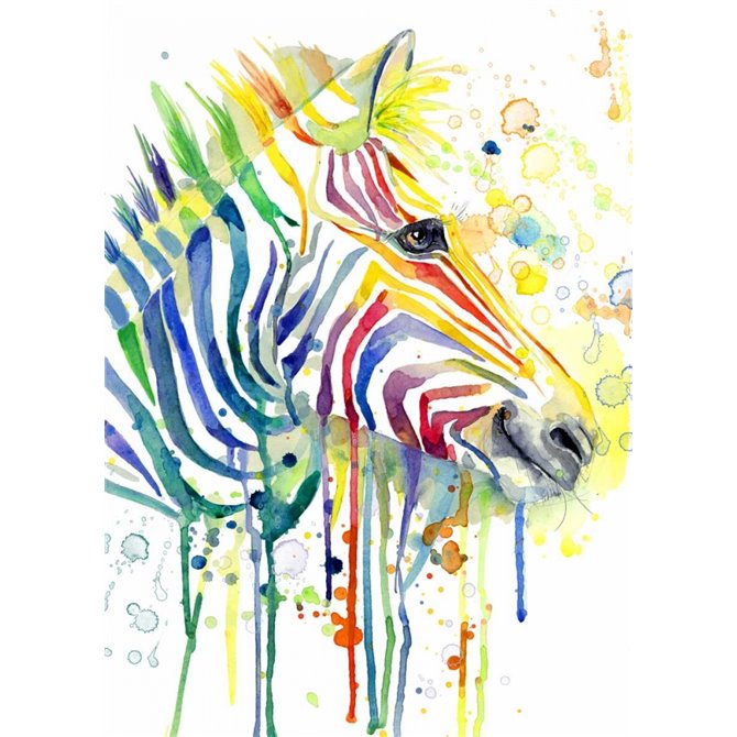 Colorful Zebra - Cuadrostock