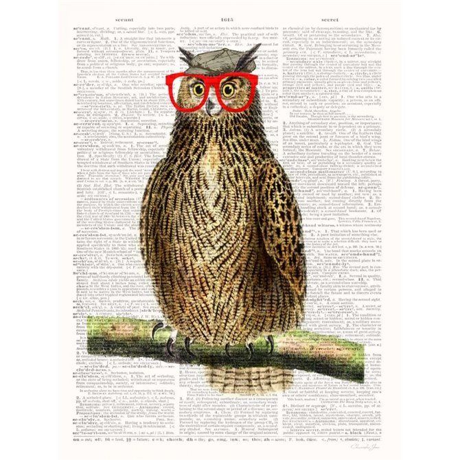 Studious Owl - Cuadrostock