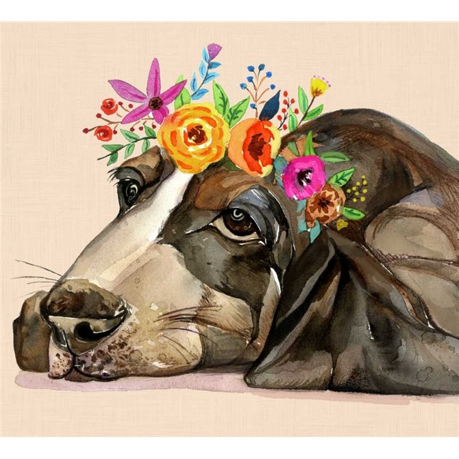 Dog With A Wreath Of Colorful Blossoms 11 - Cuadrostock