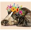 Dog With A Wreath Of Colorful Blossoms 11 - Cuadrostock