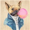 A Blowing Bubble French Bulldog - Cuadrostock