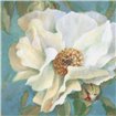 Sen~orita Peony in Bloom II - Cuadrostock