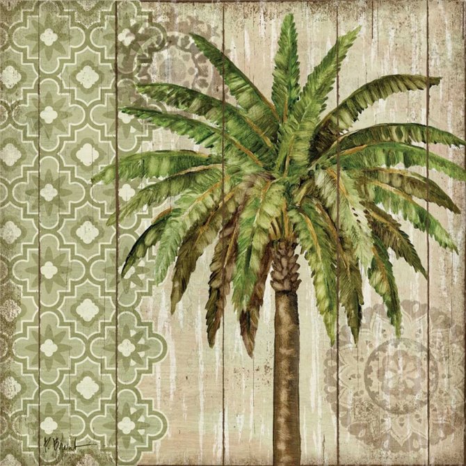Verde Palm I - Cuadrostock
