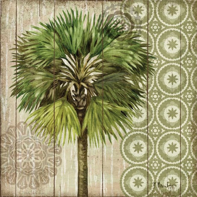 Verde Palm II - Cuadrostock