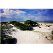 Windswept Beach - Cuadrostock