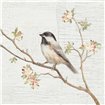 Black Capped Chickadee Vintage - Cuadrostock