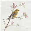 Female Goldfinch Vintage - Cuadrostock