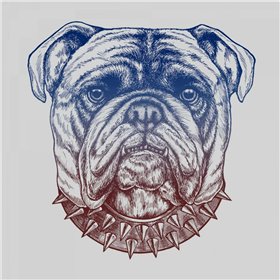 Gritty Bulldog - Cuadrostock