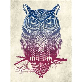 Warrior Owl - Cuadrostock