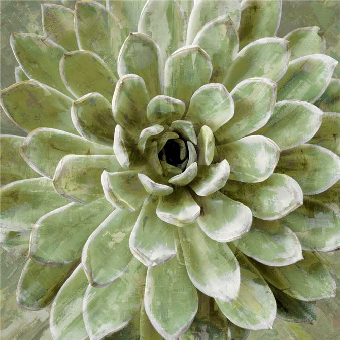 Succulent Verde II - Cuadrostock