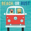 Beach Bums Bus - Cuadrostock